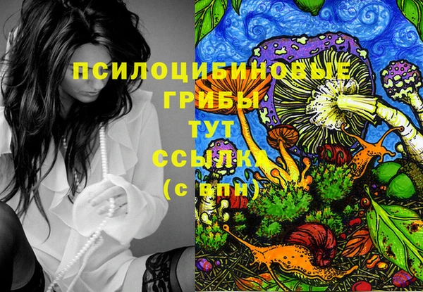 спайс Алексин