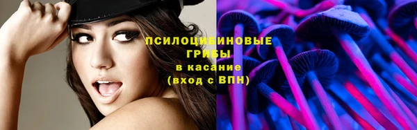 соль курить ск Алзамай
