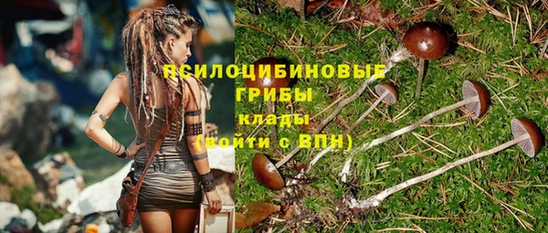 твердый Алексеевка