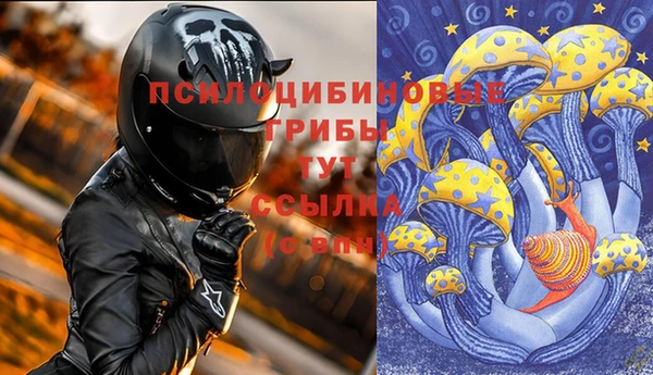 спайс Алексин