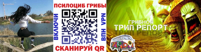 Псилоцибиновые грибы Psilocybe  купить наркотики цена  Данков 